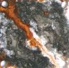story_rust_02
